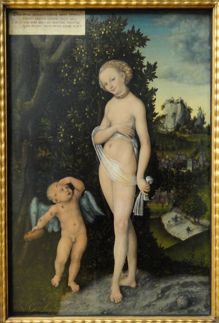 Wenus i Kupidyn, złodziej miodu autorstwa Lucas Cranach the Elder