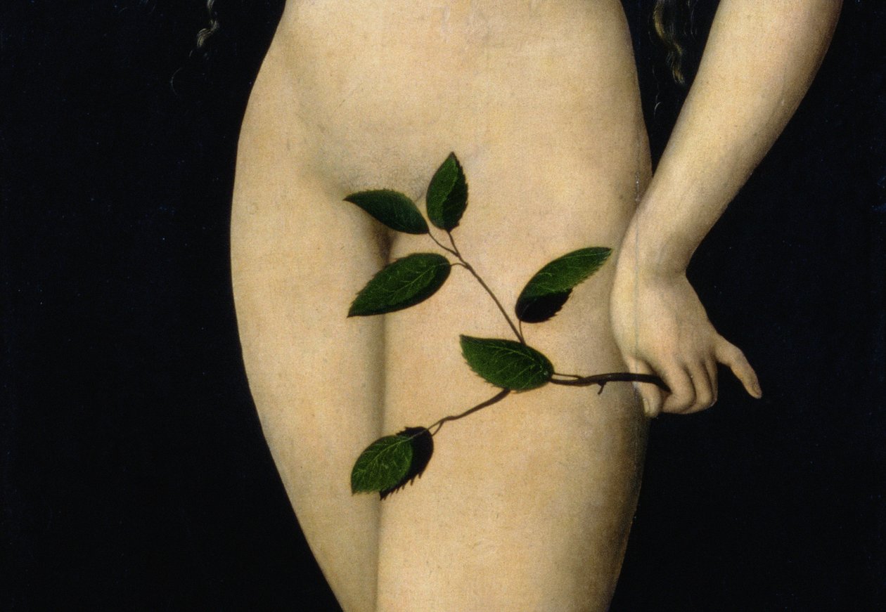 Ewa, 1528 (detal 9629) autorstwa Lucas Cranach the Elder