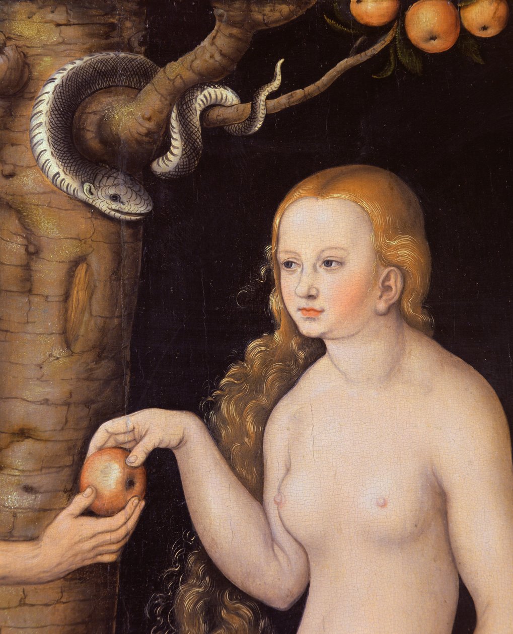 Ewa ofiarująca jabłko Adamowi w Ogrodzie Eden i wąż, ok. 1520-25 olej na detalu z drewna 407328 autorstwa Lucas Cranach the Elder