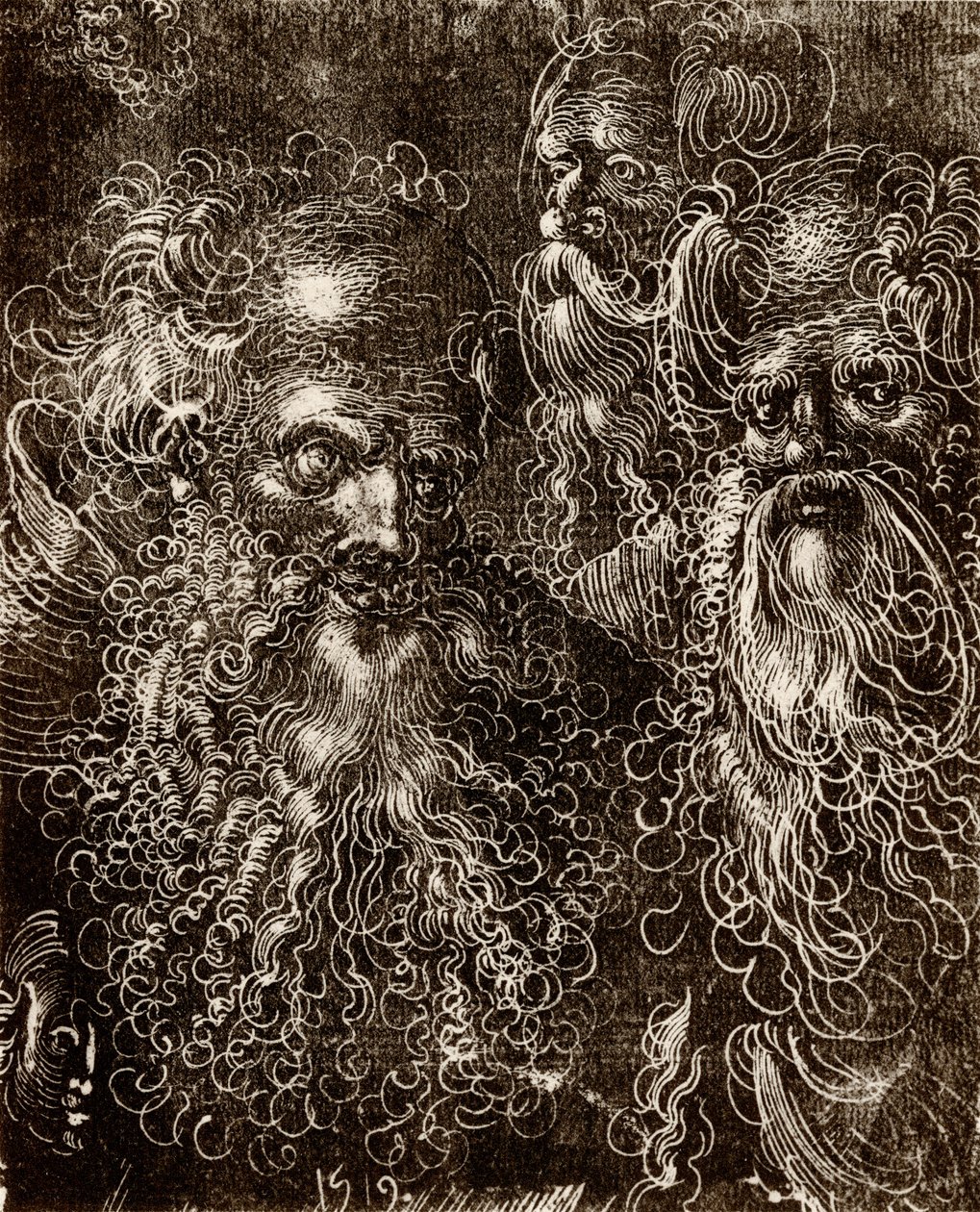 Różne studia głowy autorstwa Lucas (school of) Cranach
