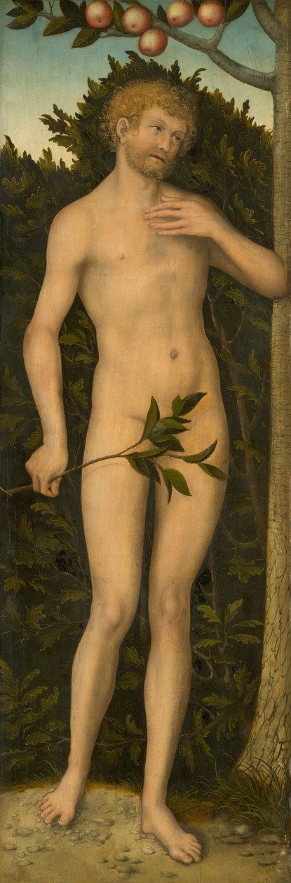 Adam, 153337. autorstwa Lucas Cranach the Elder