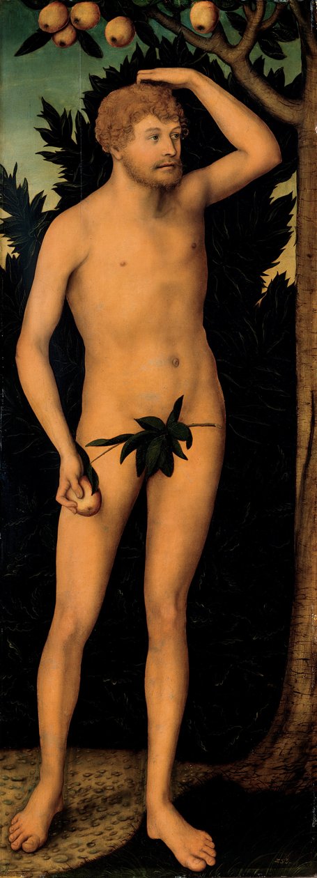 Adam, po 1537 autorstwa Lucas Cranach the Elder