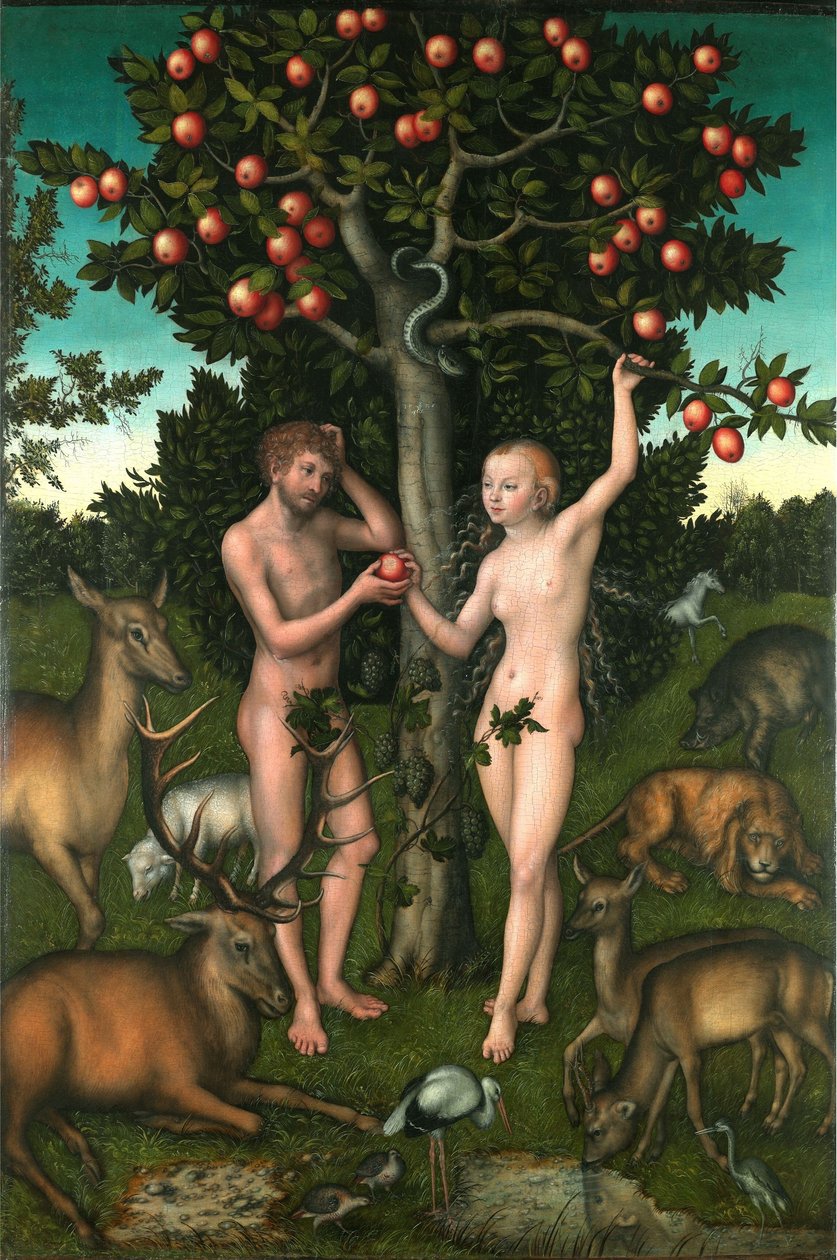 Adam i Ewa autorstwa Lucas Cranach the Elder