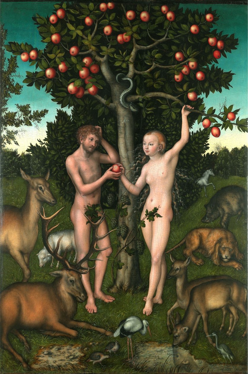 Adam i Ewa autorstwa Lucas Cranach the Elder
