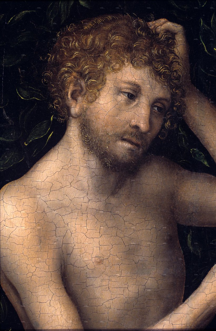 Adam i Ewa








































 szczegół autorstwa Lucas Cranach the Elder