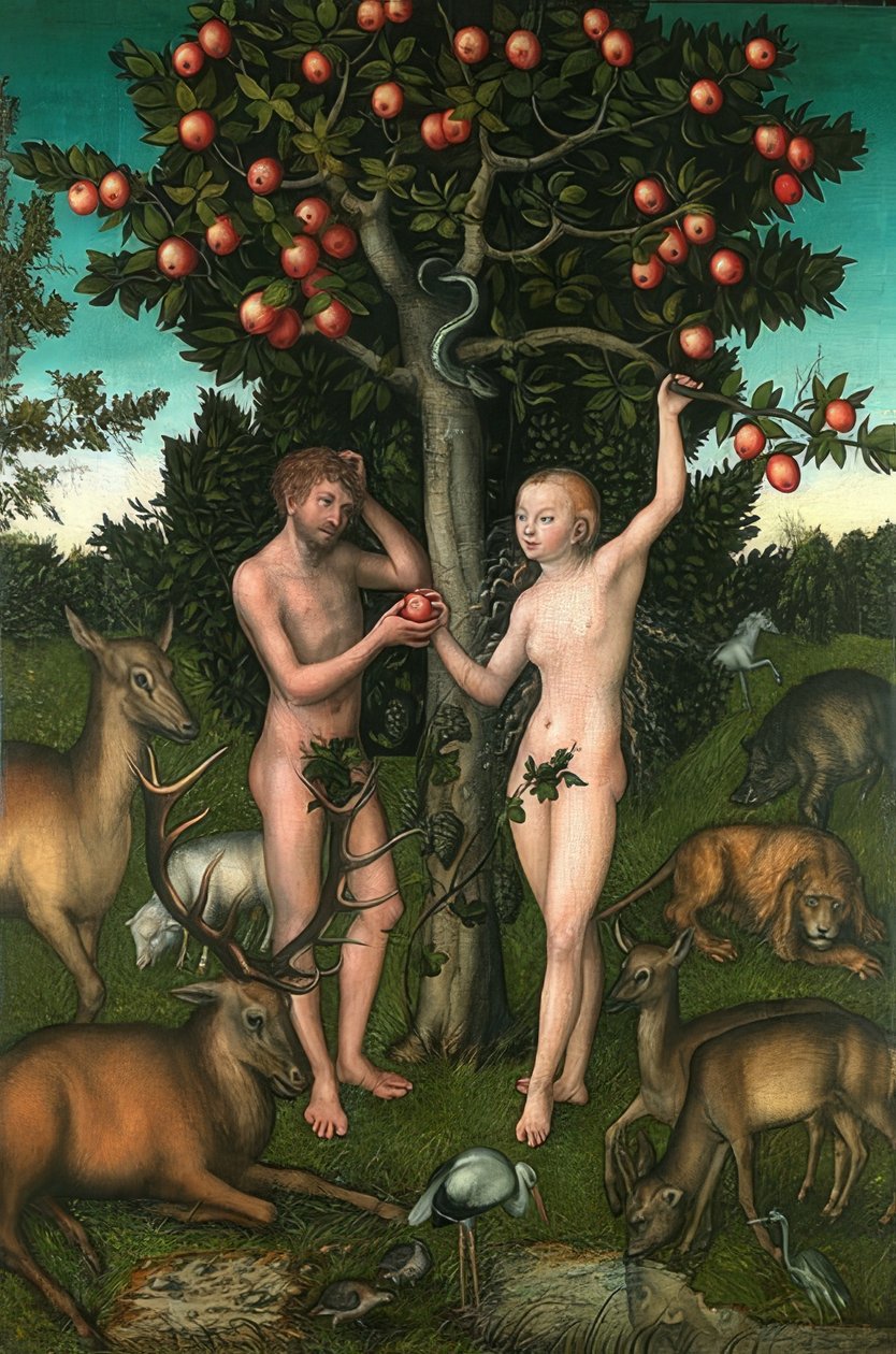 Adam i Ewa. 1526 autorstwa Lucas Cranach the Elder