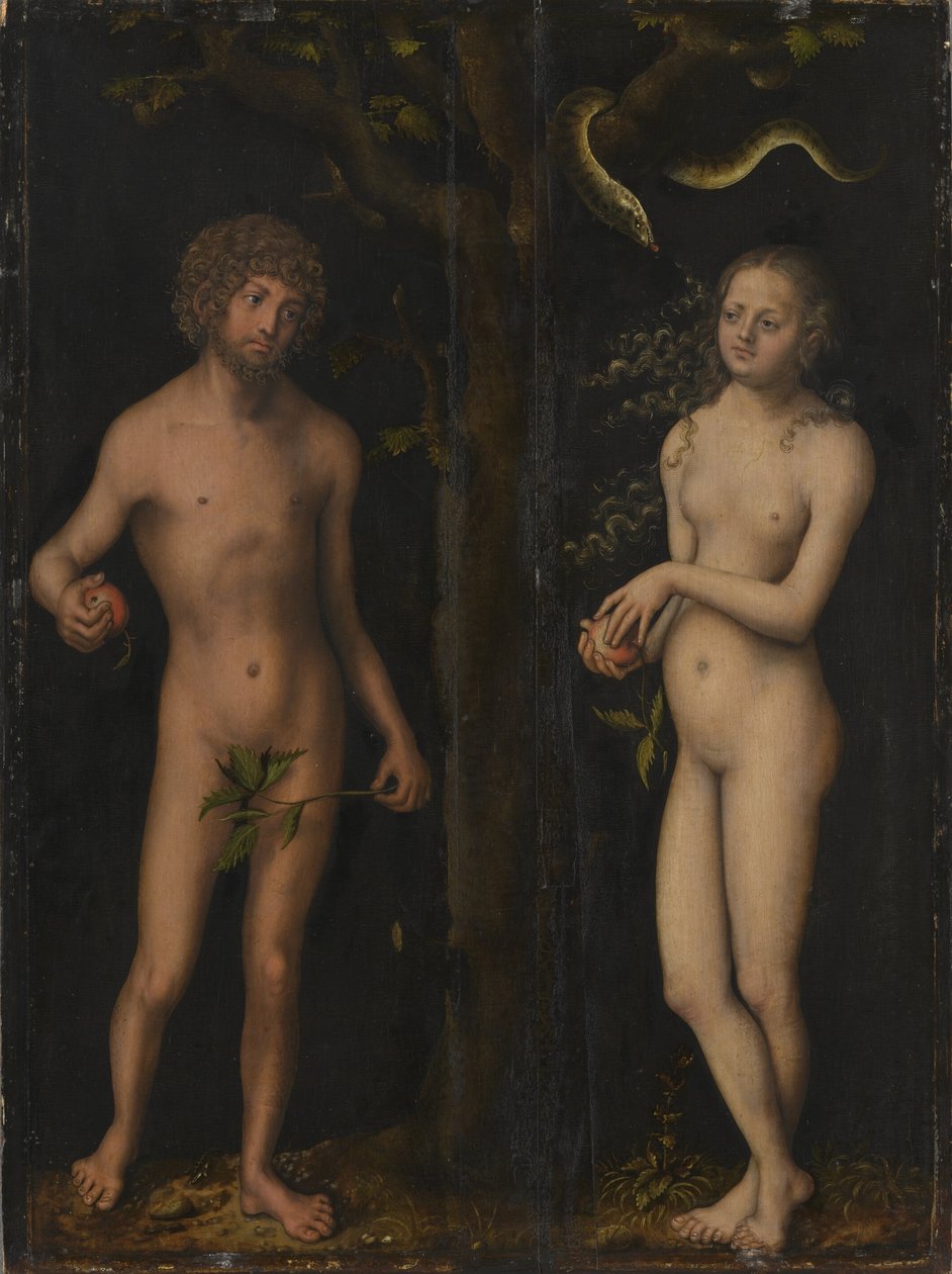Adam i Ewa Adam i Ewa autorstwa Lucas Cranach the Elder