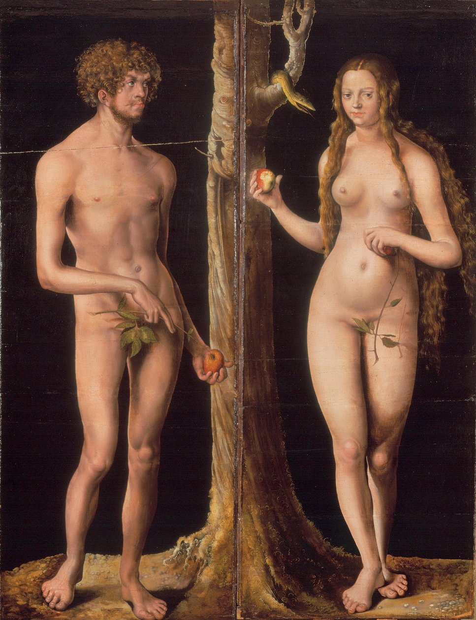 Adam i Ewa Adam i Ewa autorstwa Lucas Cranach the Elder