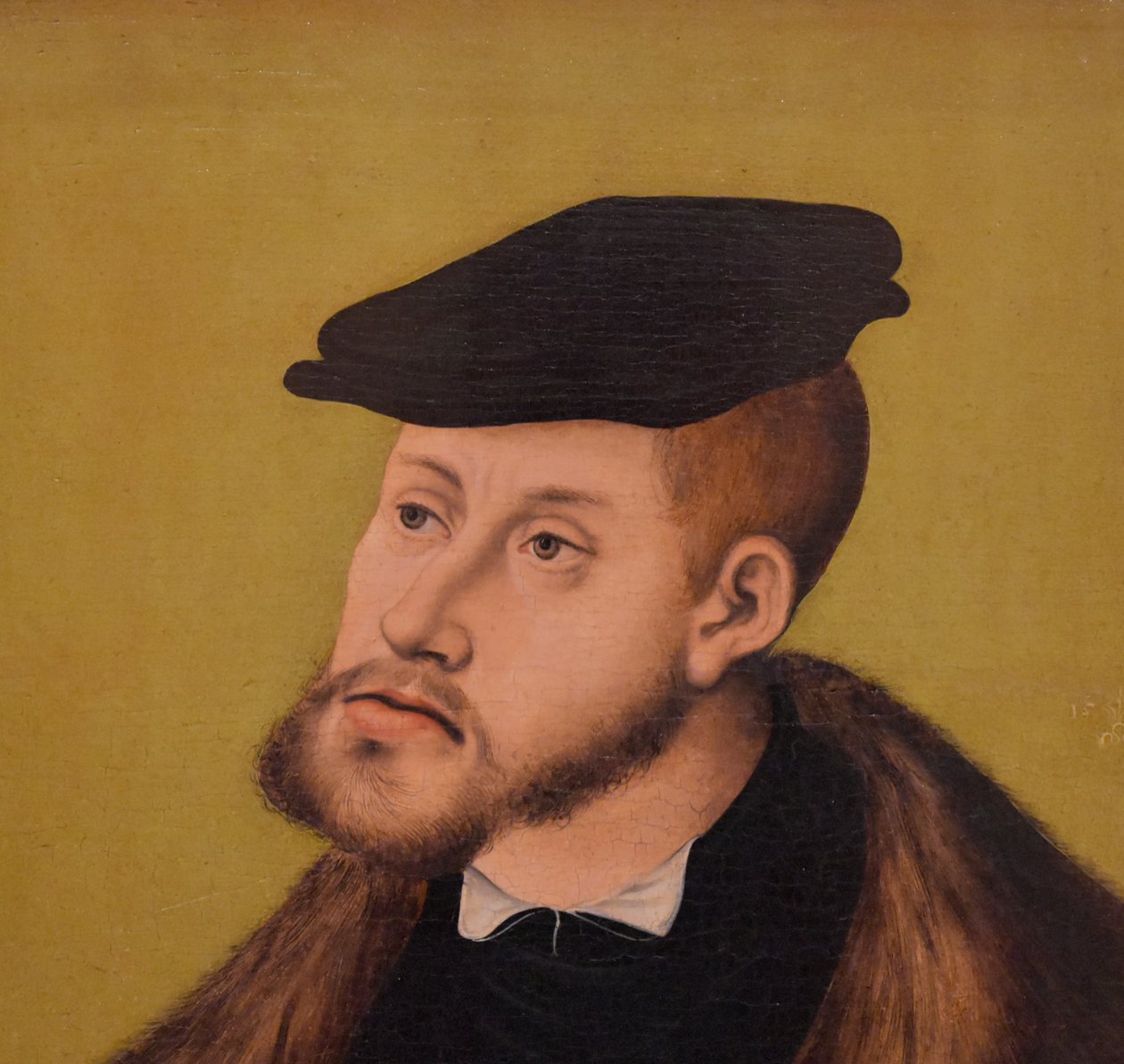 niemiecki: Bildnis Kaiser Karls V. Portret cesarza Karola V autorstwa Lucas Cranach the Elder