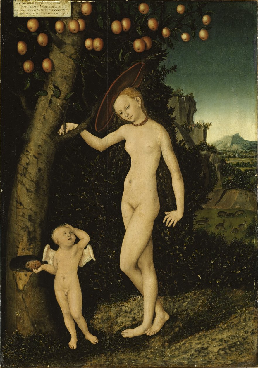 Venus mit Amor als Honigdieb Wenus i Kupidyn jako złodziej miodu autorstwa Lucas Cranach the Elder