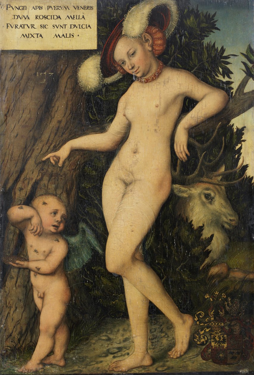 Venus mit Amor als Honigdieb Wenus z Kupidynem kradnącym miód autorstwa Lucas Cranach the Elder