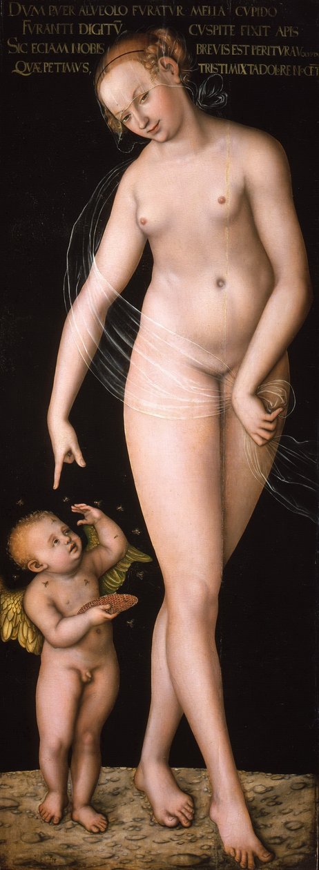 Venus und Amor als Honigdieb Wenus z Kupidynem kradnącym miód autorstwa Lucas Cranach the Elder