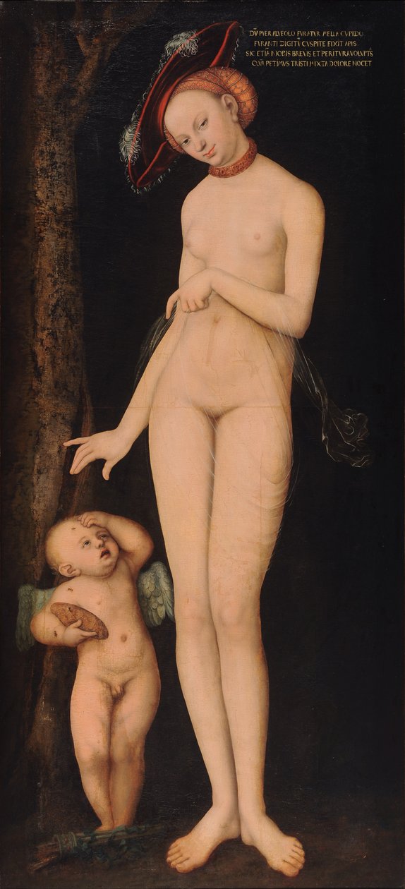 Wenus i Kupidyn, złodziej miodu autorstwa Lucas Cranach the Elder