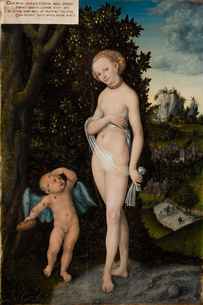 Wenus i Kupidyn, złodziej miodu autorstwa Lucas Cranach the Elder