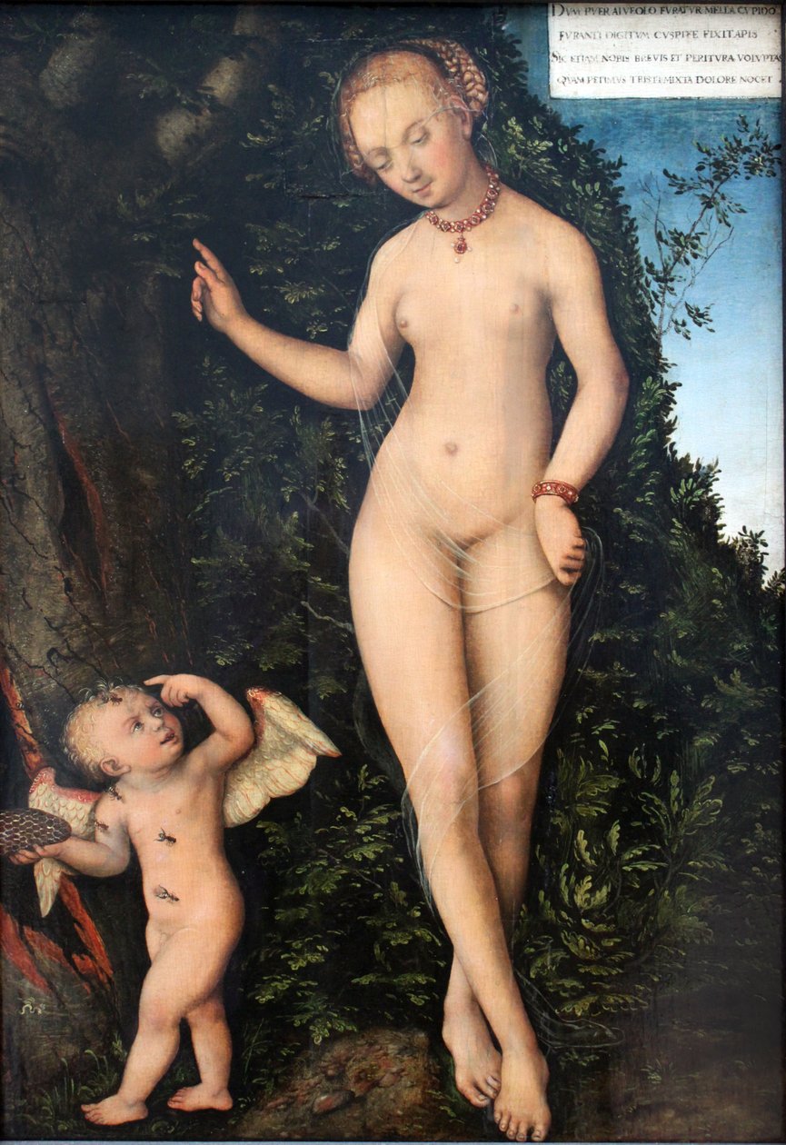 Wenus i Kupidyn, złodziej miodu autorstwa Lucas Cranach the Elder