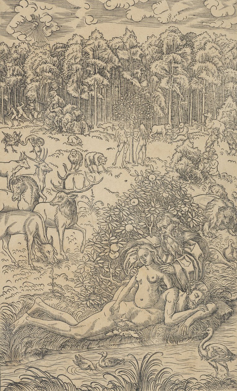 Stworzenie Ewy autorstwa Lucas Cranach the Younger  