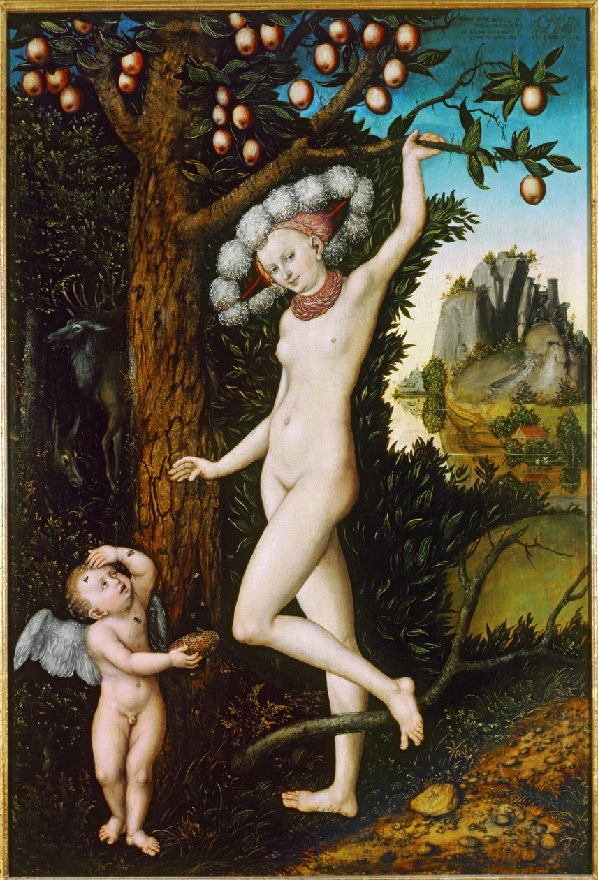 Kupidyn skarżący się Wenus ... (obraz na drewnie) autorstwa Lucas the Elder Cranach