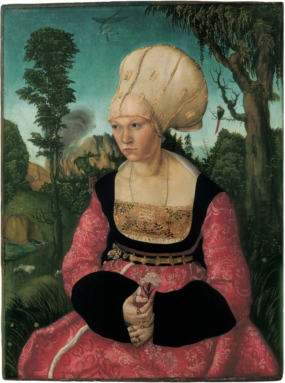 Portret Anny Cuspinian, autorstwa Cranacha, Lucasa Starszego (1472-1553). Olej na drewnie autorstwa Lucas the Elder Cranach