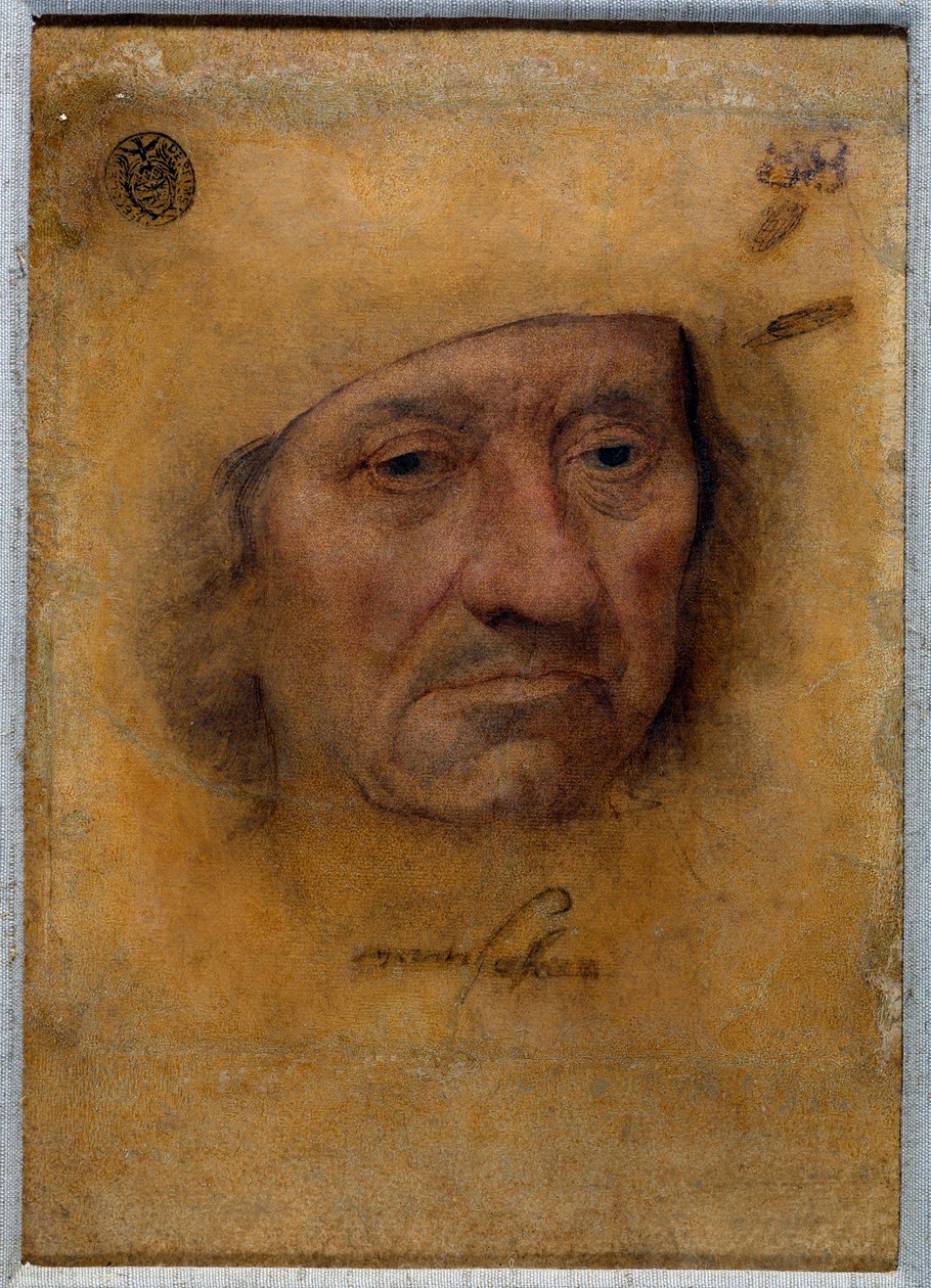 Portret doktora Petrusa von Clapisa Rysunek w pastelu Bruyna ze szkoły Lucasa Cranacha Starego (lub Starszego autorstwa Lucas the Elder Cranach