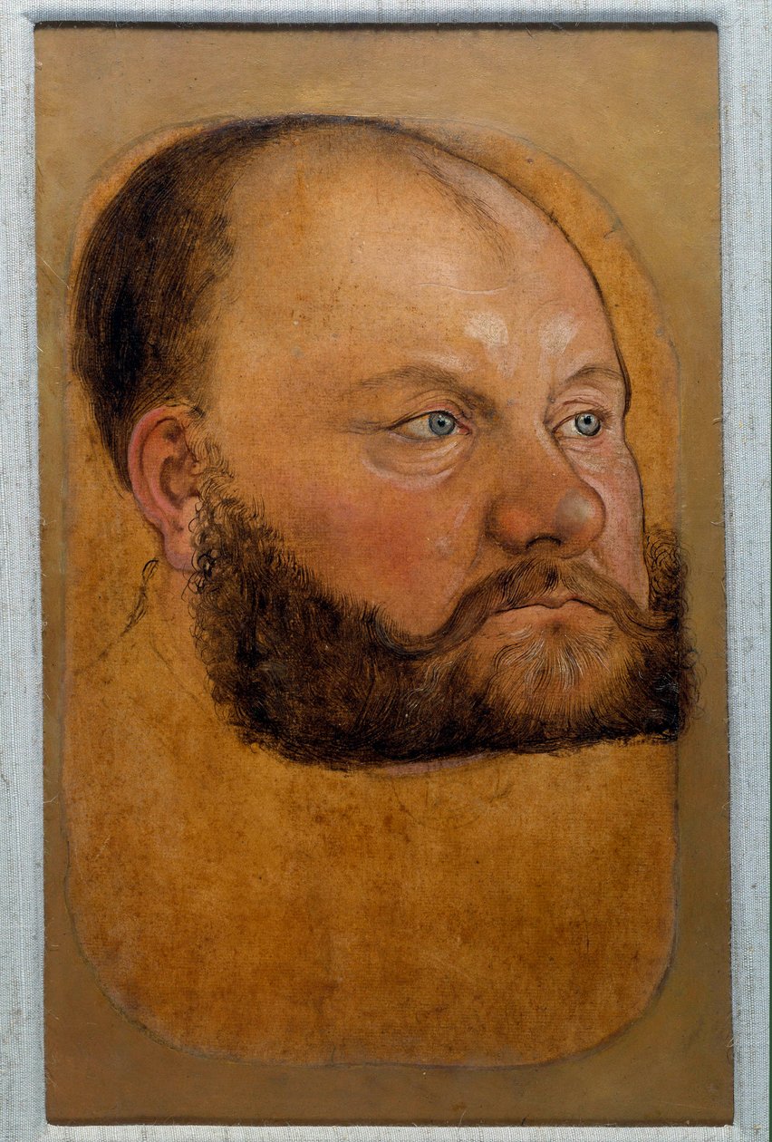 Portret księcia Wolfa Anhalta z Saksonii, księcia reformy Pastelowy rysunek Lucasa Cranacha Starego (lub Starszego autorstwa Lucas the Elder Cranach