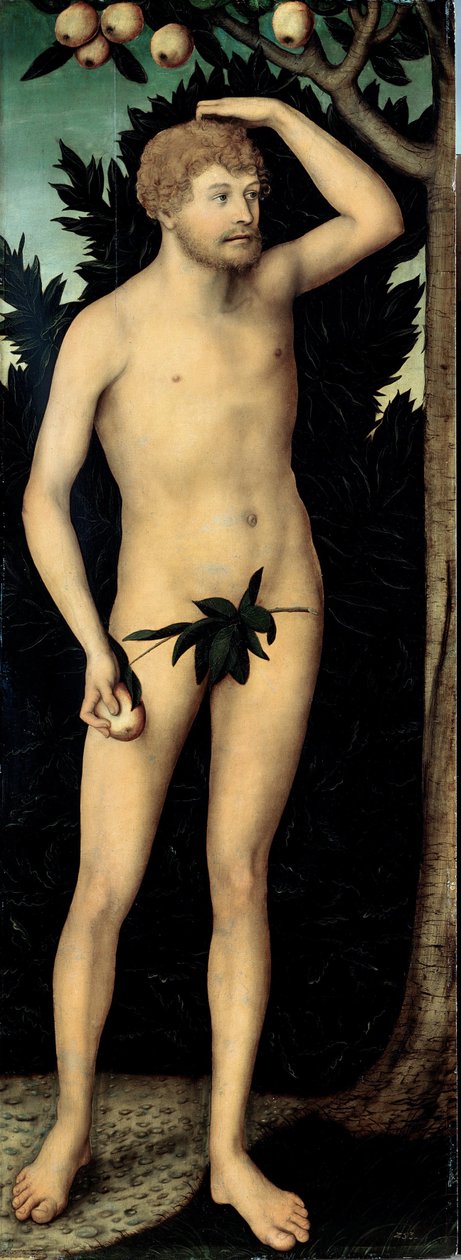 „Adam” Obraz Lucasa Cranacha II młodszego (1515-1586) po 1537 wym. 171 x 63 cm Niemcy Państwowe Zbiory Sztuki w Dreźnie autorstwa Lucas the Younger Cranach
