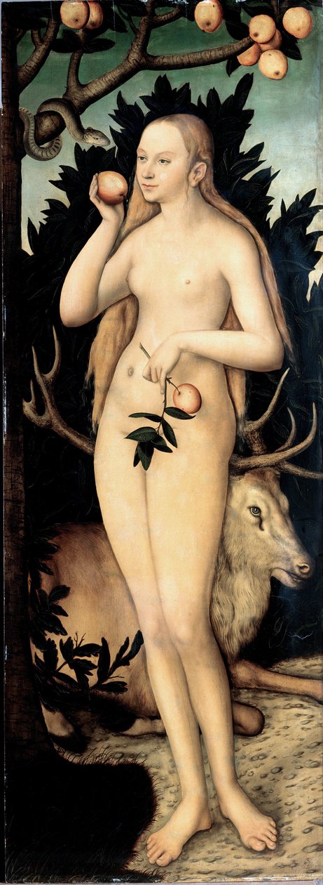 "Ewa" Obraz Lucasa Cranacha II młodszego (1515-1586) po 1537 wym. 171 x 63 cm Niemcy Państwowe Zbiory Sztuki w Dreźnie autorstwa Lucas the Younger Cranach
