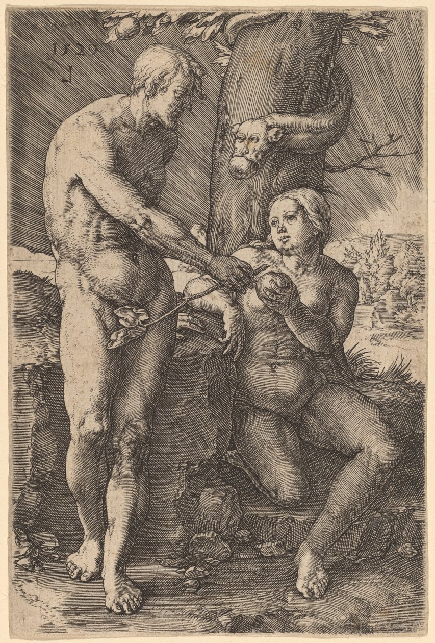 Upadek człowieka autorstwa Lucas van Leyden