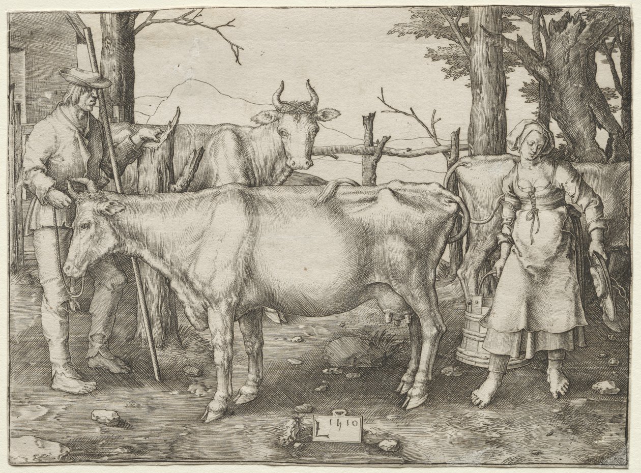 Dojarka autorstwa Lucas van Leyden