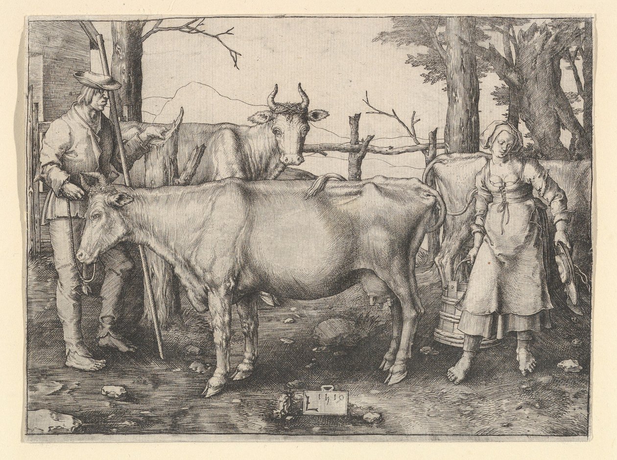 Dojarka autorstwa Lucas van Leyden