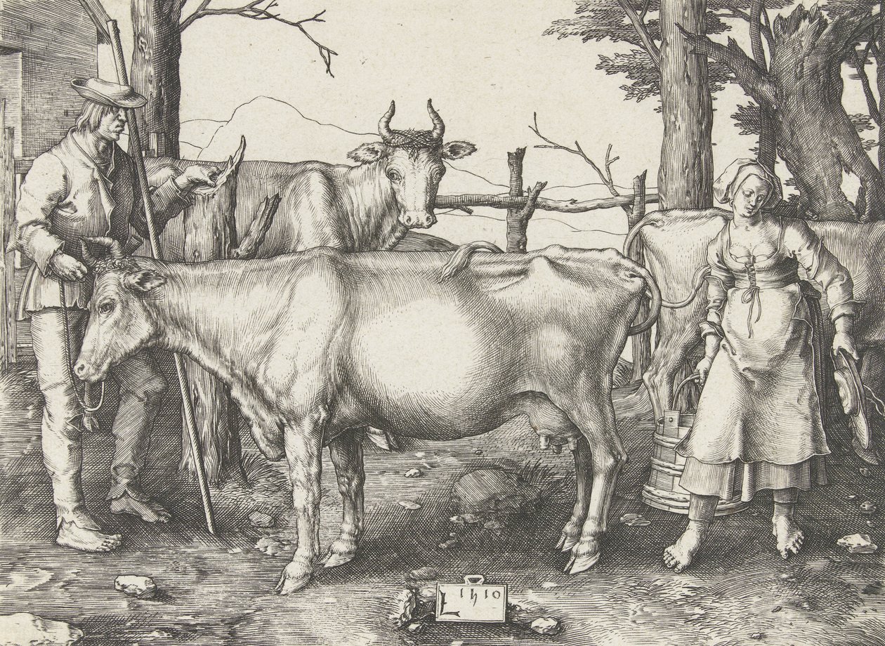 Dojarka autorstwa Lucas van Leyden