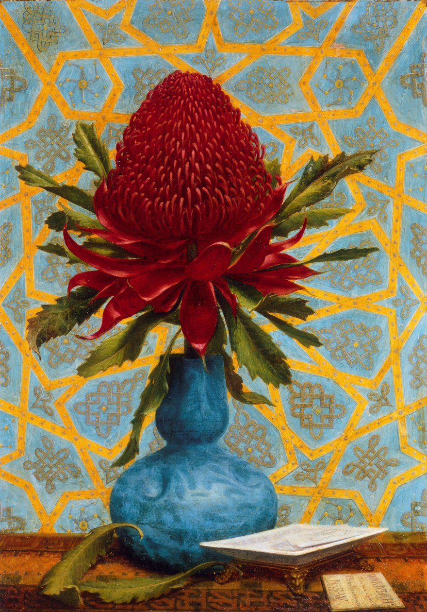 Waratah autorstwa Lucien Henry