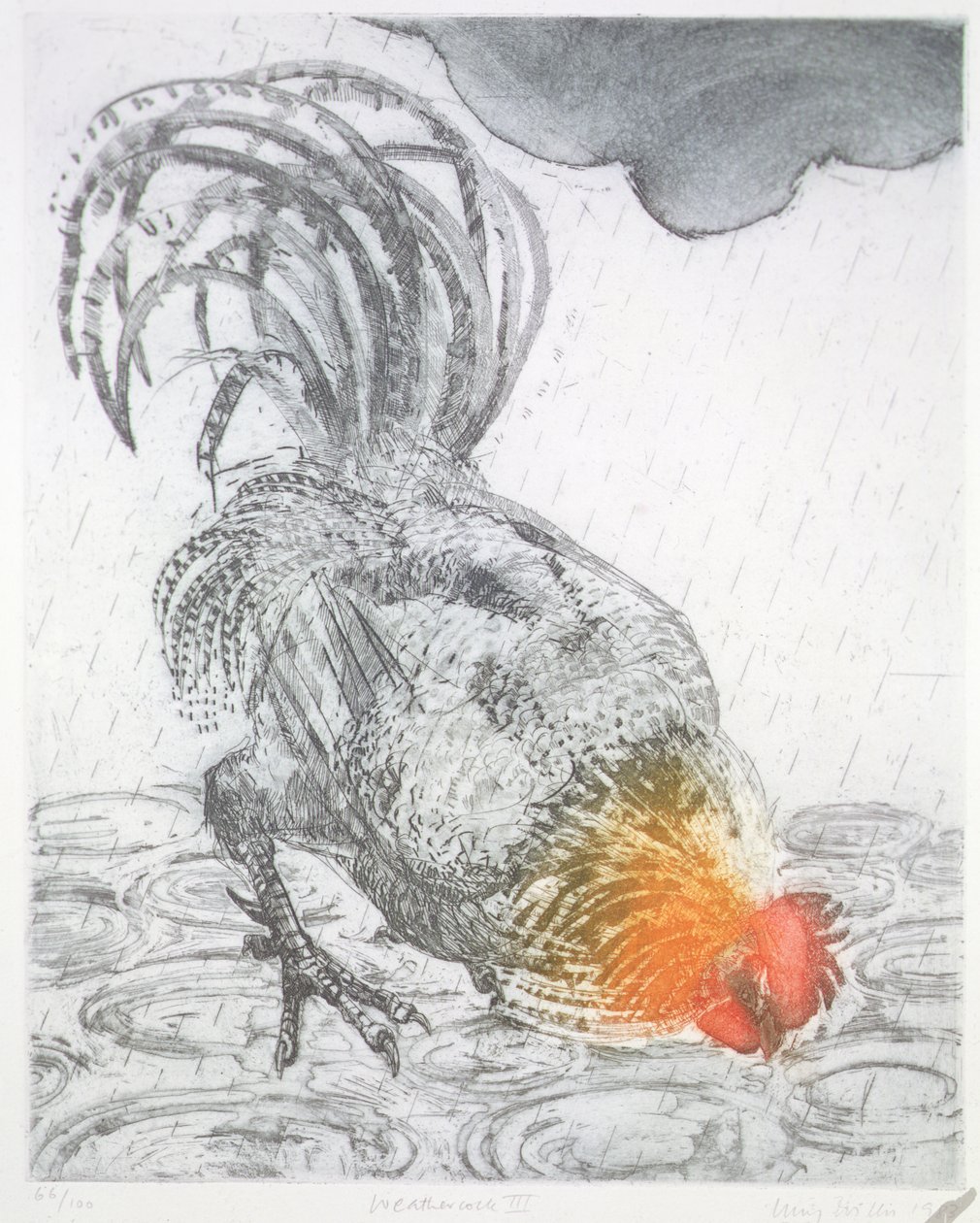 Wiatrowskaz II, 1983 (akwaforta na papierze) autorstwa Lucy Willis