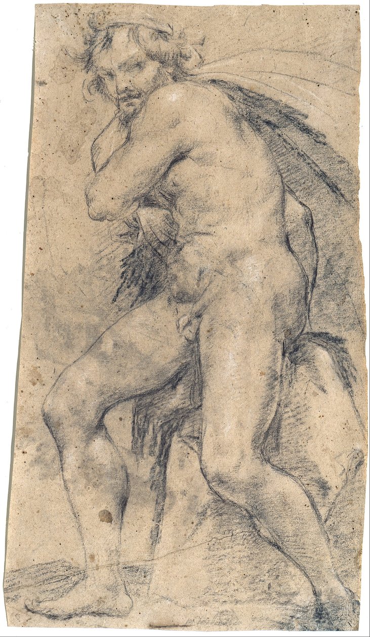 Akt męski (Herkules) autorstwa Ludovico Carracci