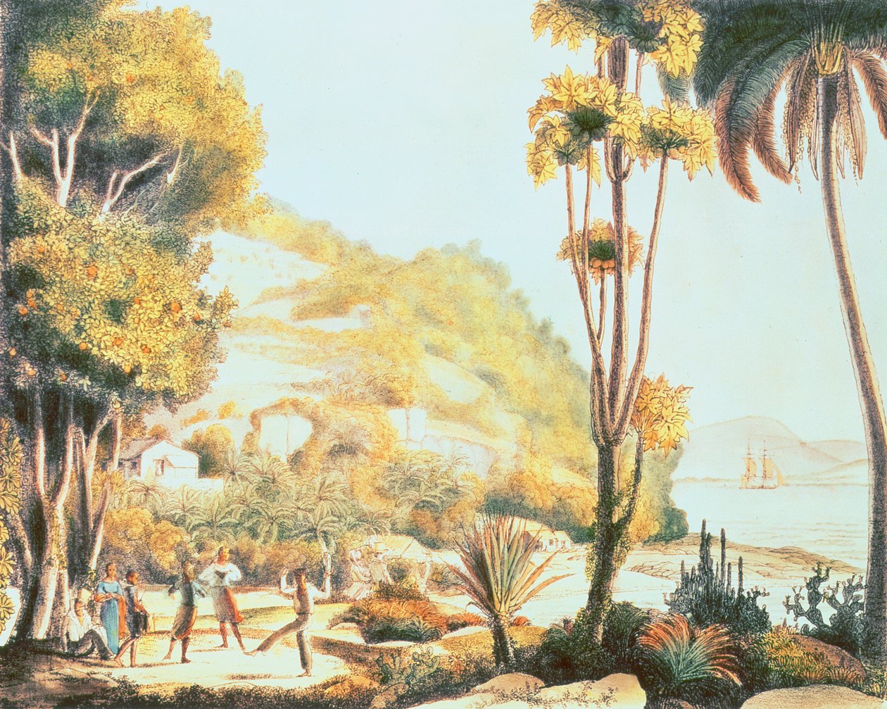 Widok na wybrzeże Brazylii naprzeciwko wyspy Santa Catarina, ok.1825 autorstwa Ludwig Choris