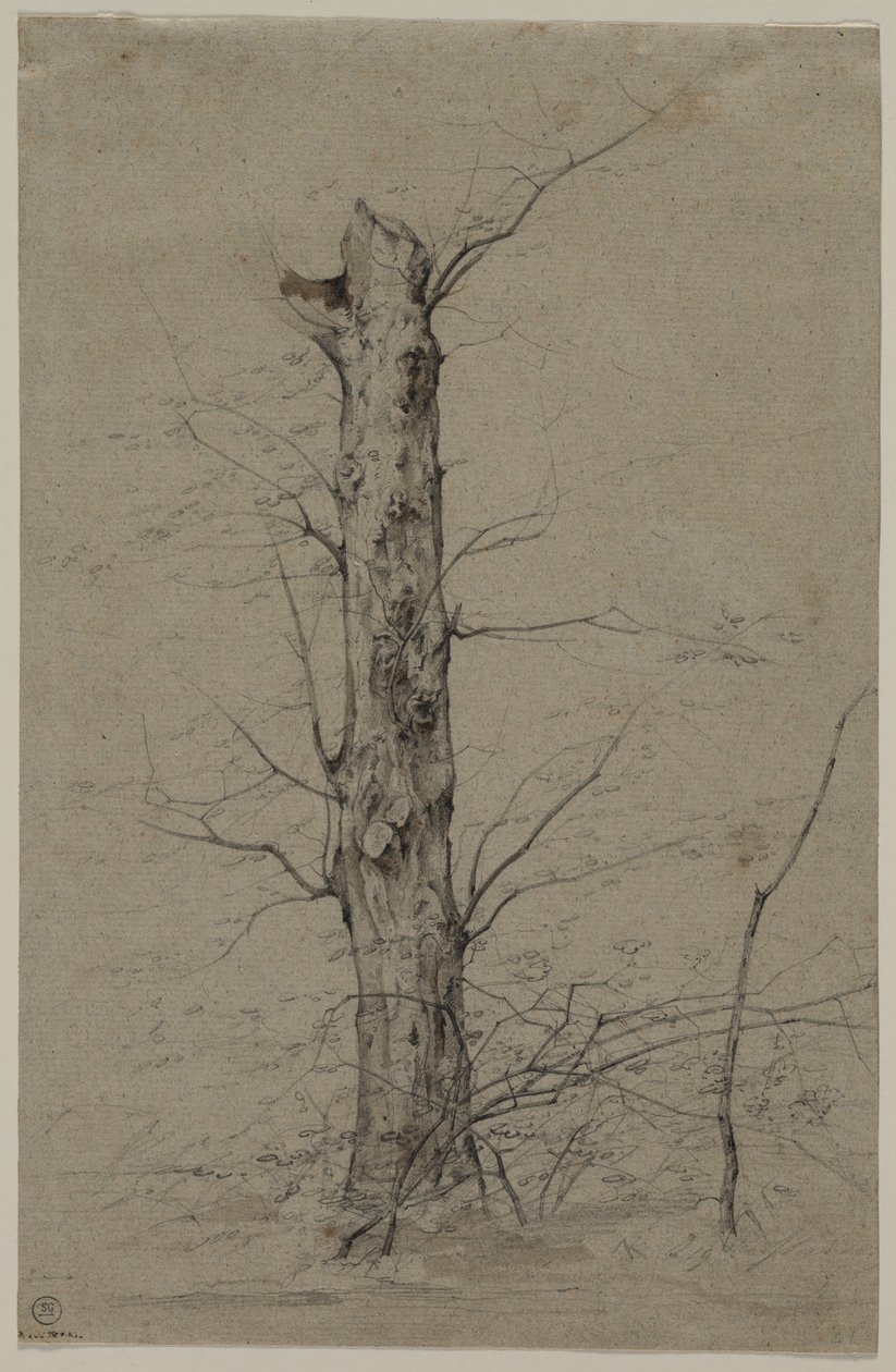 Drzewo autorstwa Ludwig Ferdinand Schnorr von Carolsfeld