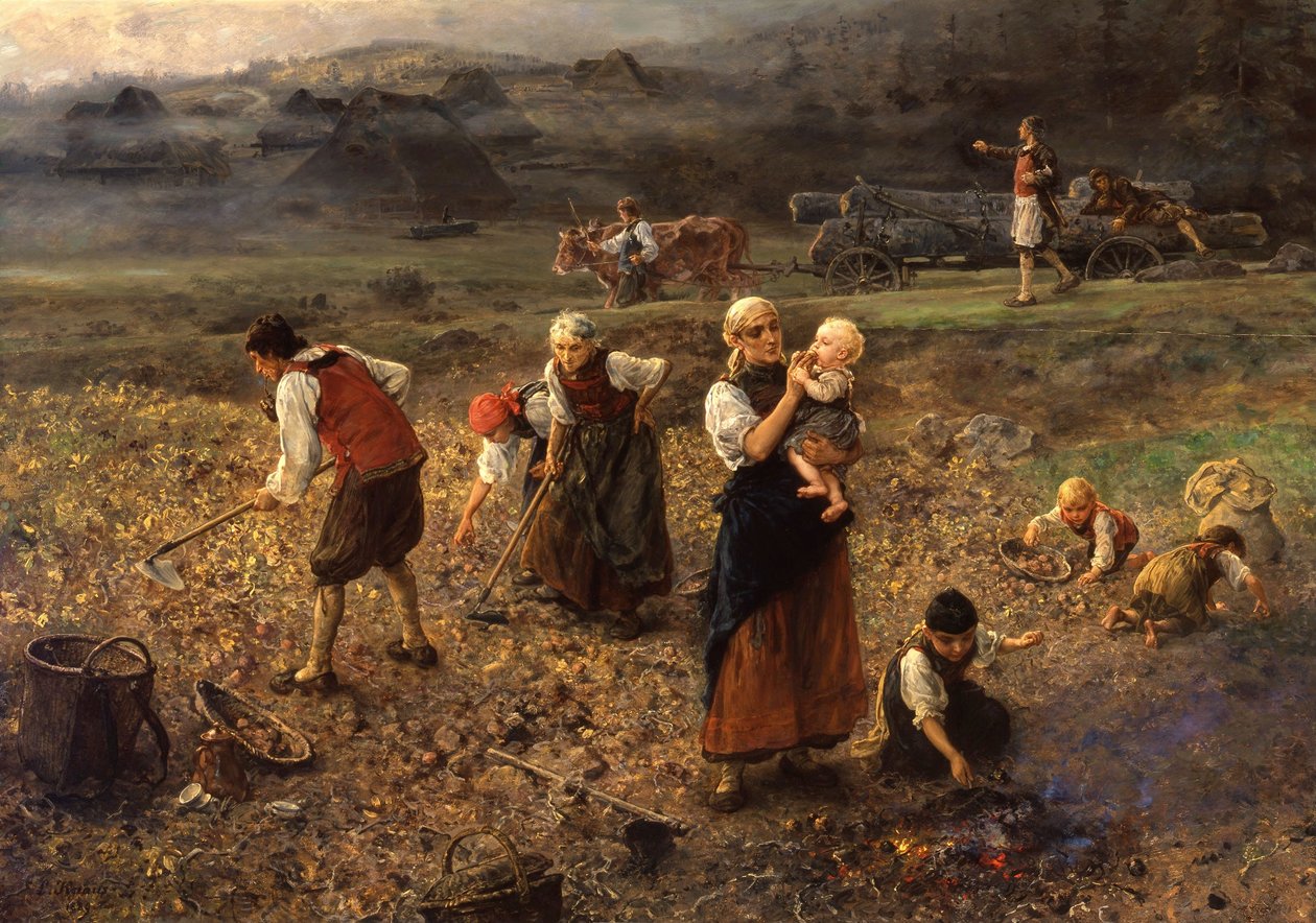 Zbiór ziemniaków autorstwa Ludwig Knaus