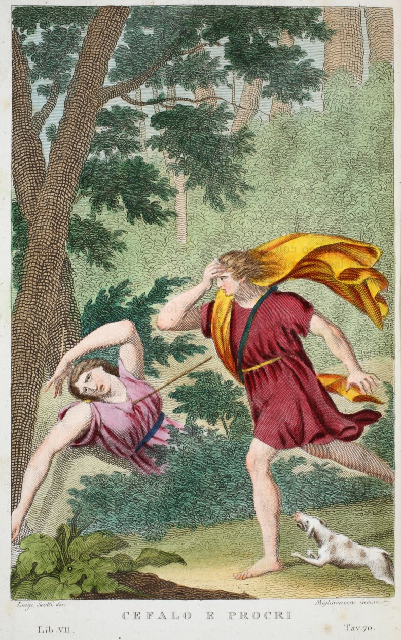 Cephalus i Procris lub Cefalo e Procri, księga VII, ilustracja z Metamorfoz Owidiusza, Florencja, 1832 (rycina ręcznie kolorowana) autorstwa Luigi Ademollo