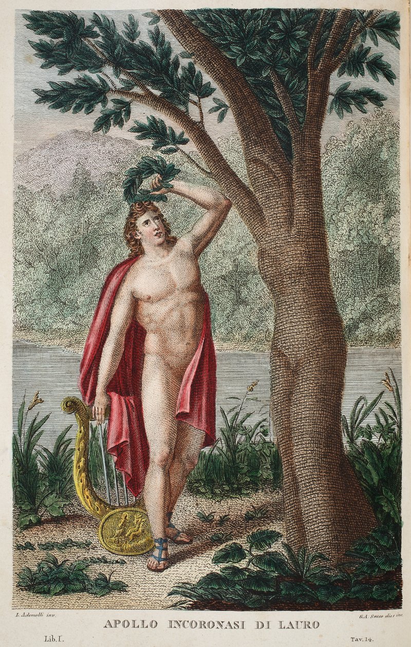 Daphne w Laur lub Apollo Incoronasi de Lauro, ilustracja z Metamorfoz Owidiusza, Florencja, 1832 (rycina ręcznie kolorowana) autorstwa Luigi Ademollo