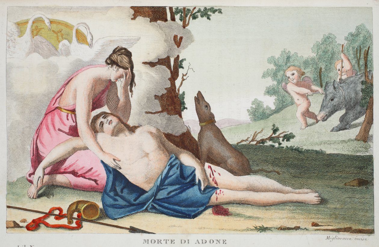 Śmierć Adonisa lub Morte di Adone, Księga X, ilustracja z Metamorfoz Owidiusza, Florencja, 1832 (rycina ręcznie kolorowana) autorstwa Luigi Ademollo