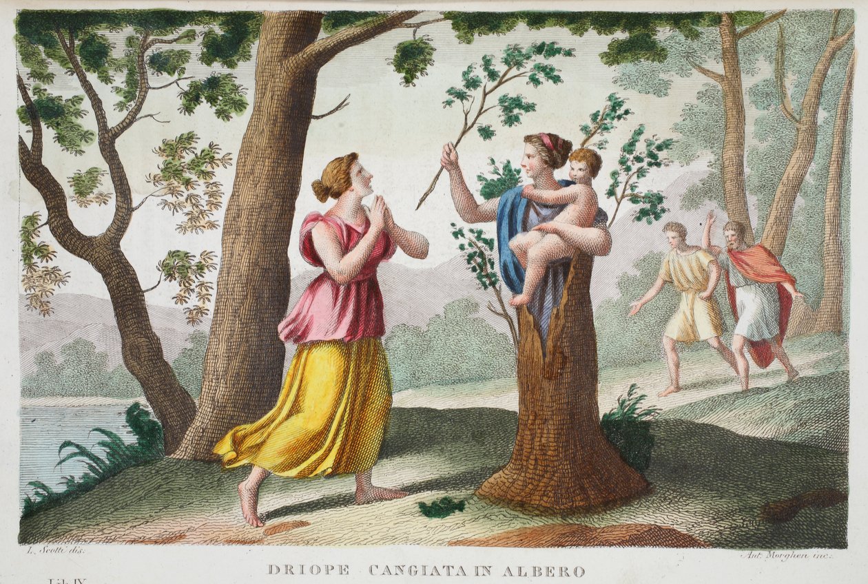 Dryope w drzewo lub Driope cangiata in albero, Księga IX, ilustracja z Metamorfoz Owidiusza, Florencja, 1832 (rycina ręcznie kolorowana) autorstwa Luigi Ademollo