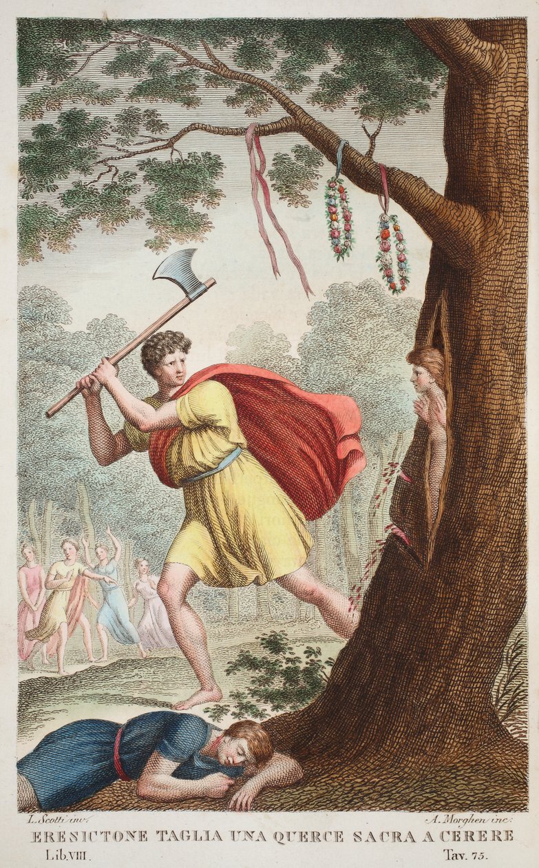 Duma Erysichtona lub Eresictone Taglia una Querce sacra a Cerere, księga VIII, ilustracja z Metamorfoz Owidiusza, Florencja, 1832 (rycina ręcznie kolorowana) autorstwa Luigi Ademollo