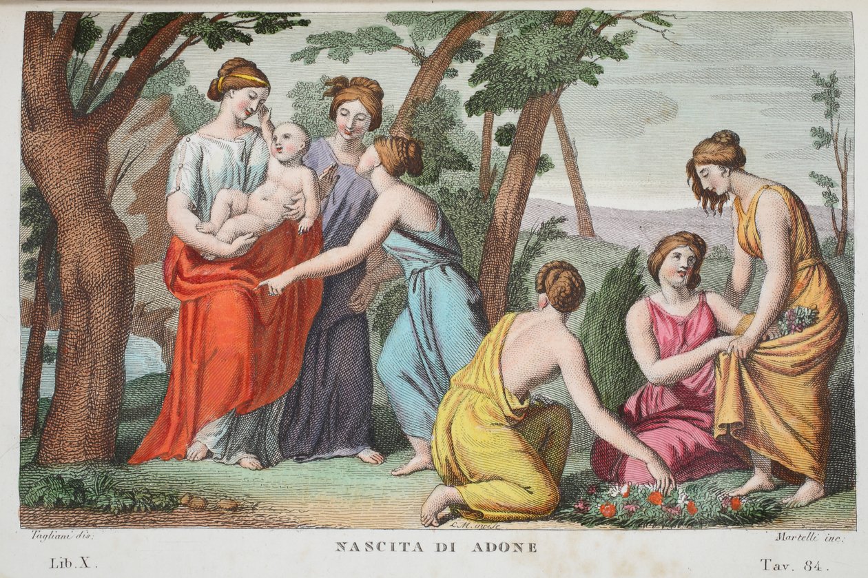 Narodziny Adonisa lub Nascita di Adone, Księga X, ilustracja z Metamorfoz Owidiusza, Florencja, 1832 (rycina ręcznie kolorowana) autorstwa Luigi Ademollo