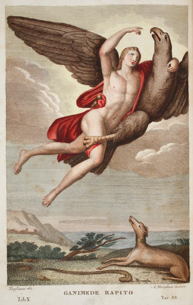 Ganymede unoszony do nieba lub Ganimede Rapito, Księga X, ilustracja z Metamorfoz Owidiusza, Florencja, 1832 (rycina ręcznie kolorowana) autorstwa Luigi Ademollo