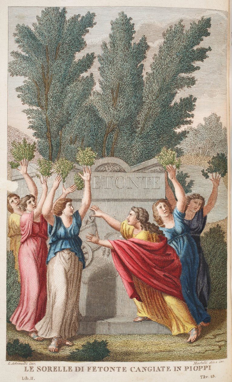 Heliady do drzew, które dają bursztyn lub Le Sorrelle die Fetonte Cangiate in Pioppi, ilustracja z Metamorfoz Owidiusza, Florencja, 1832 (rycina ręcznie kolorowana) autorstwa Luigi Ademollo
