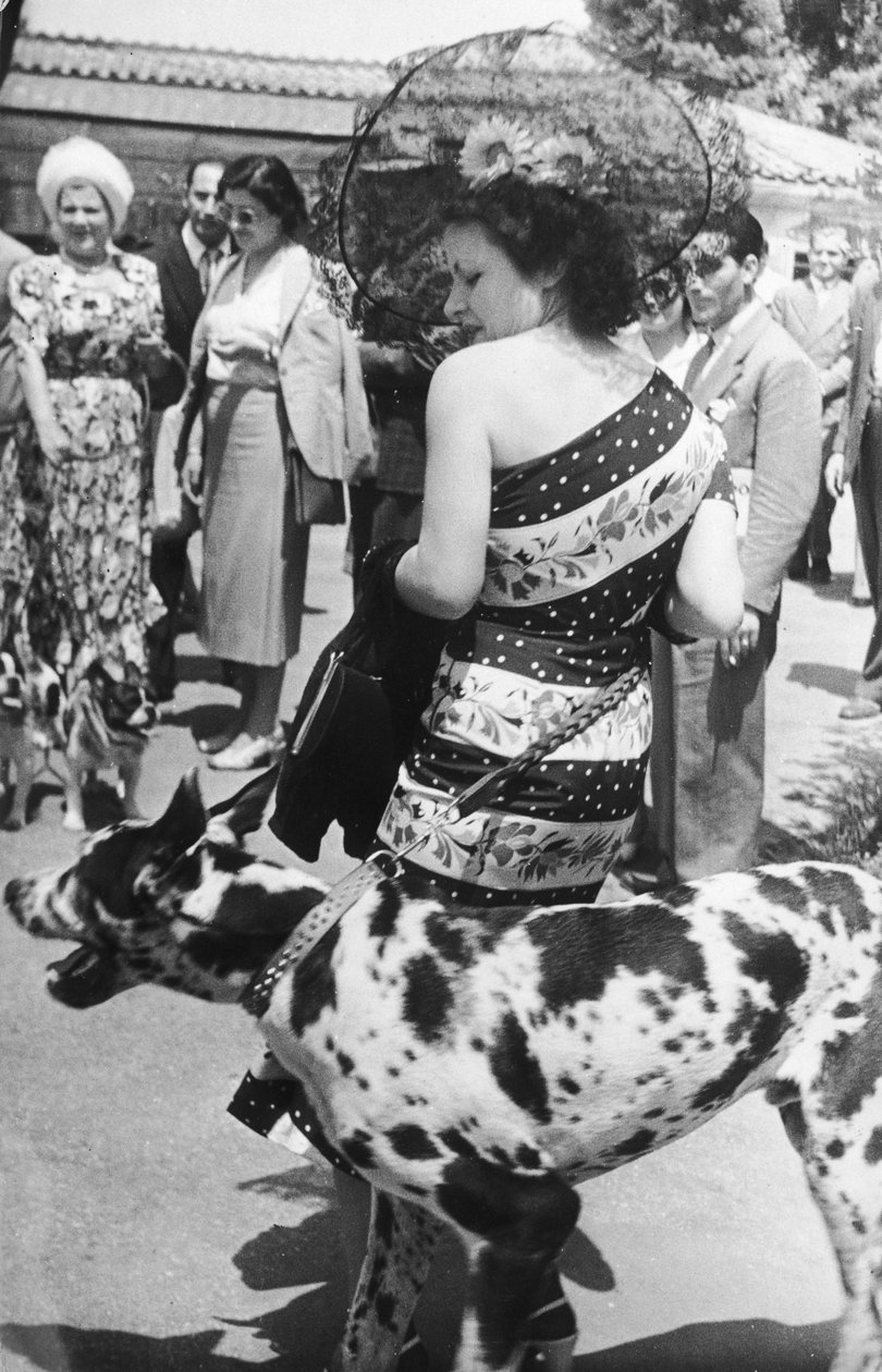 Portret damy z dogiem niemieckim autorstwa Luigi Leoni