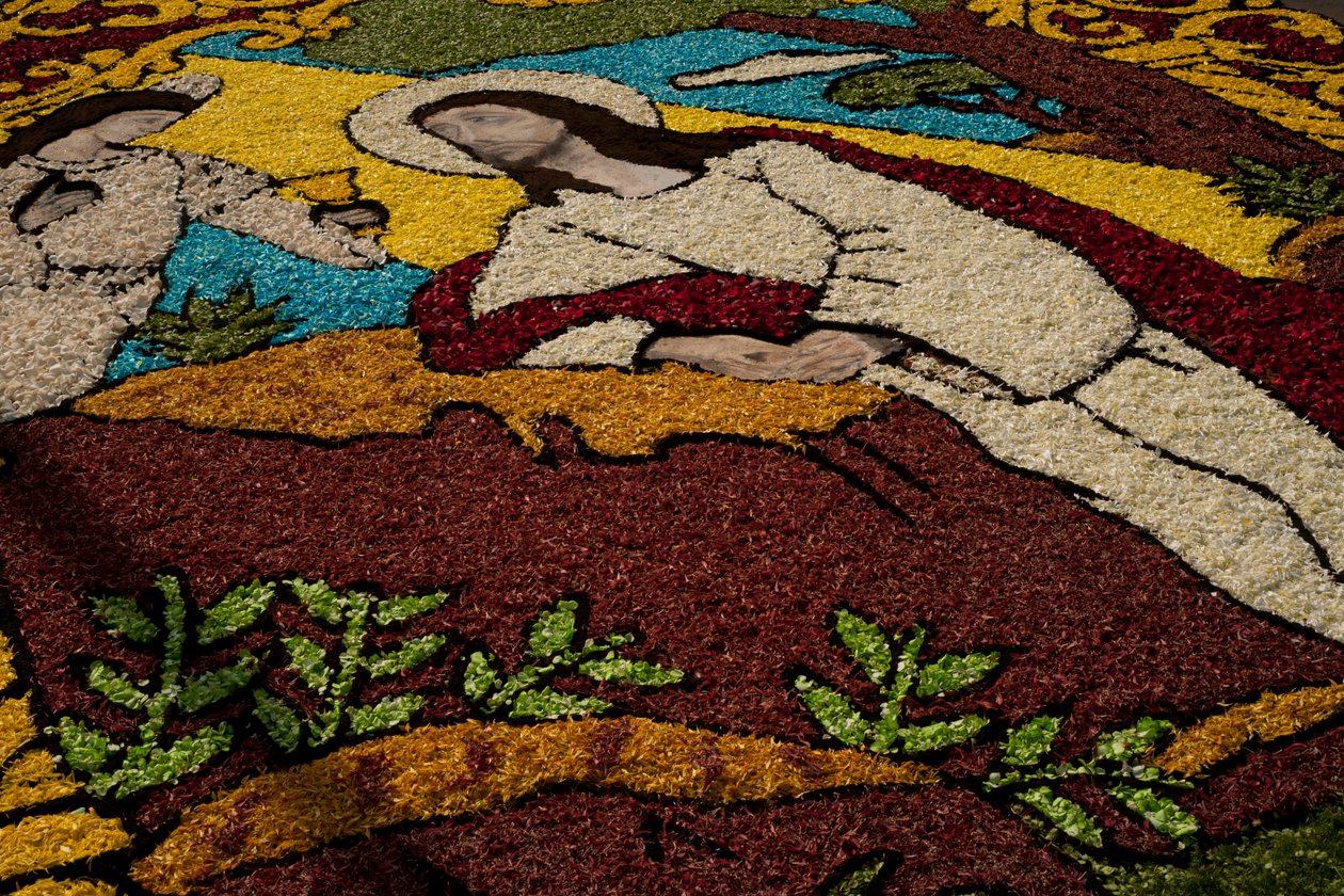 Wielki Tydzień Surco Flower Carpet, Lima, Peru, 2015. autorstwa Luis Rosendo.