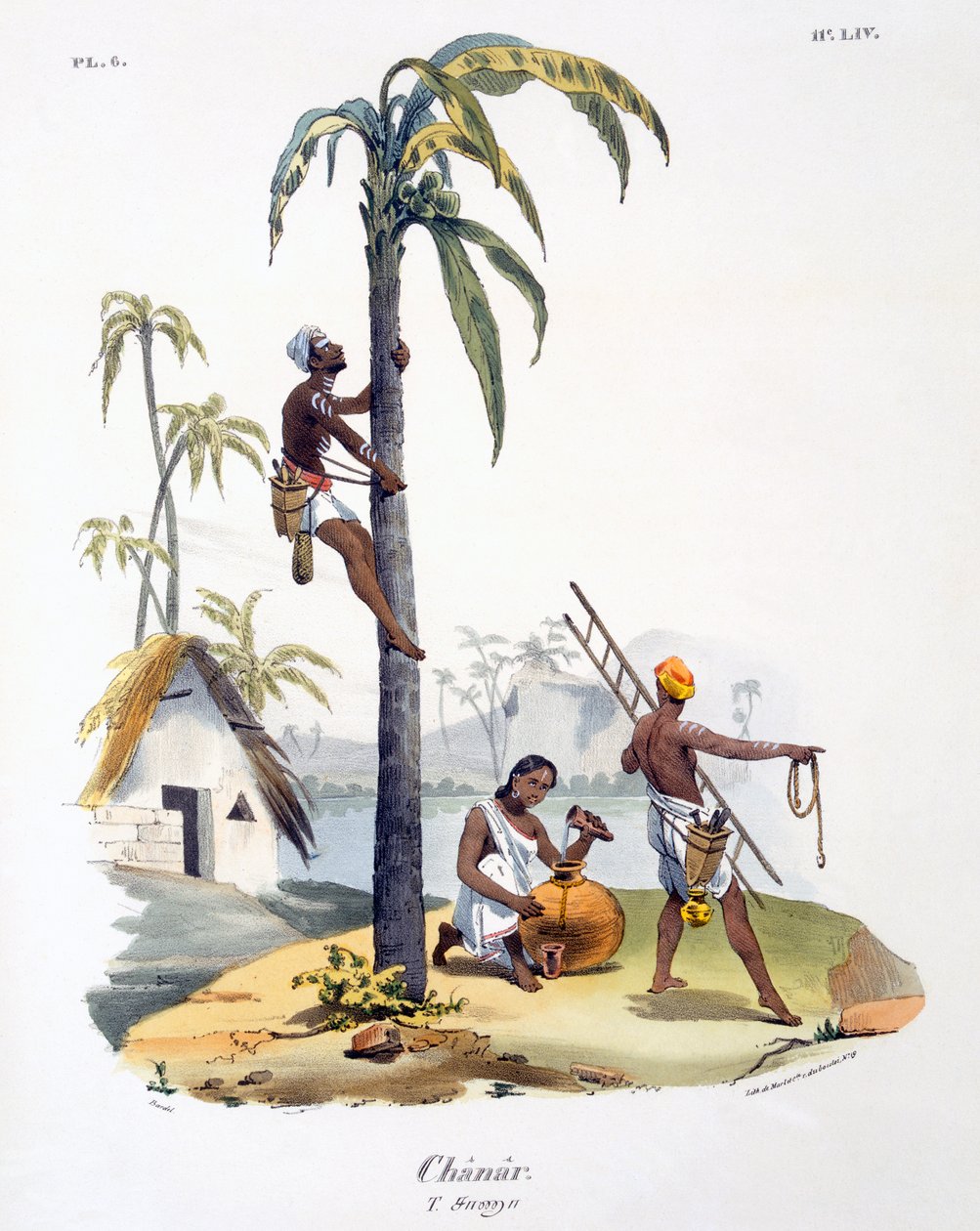 Człowiek z kasty Nadarów wspinający się na palmę, 1827-35 autorstwa M.E. Burnouf