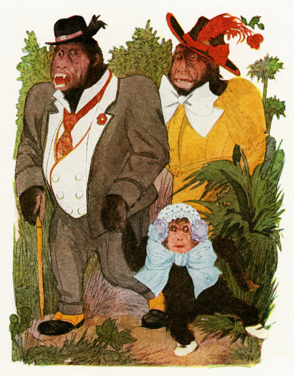 „Mały goryl”, 1913 autorstwa Martin Ross