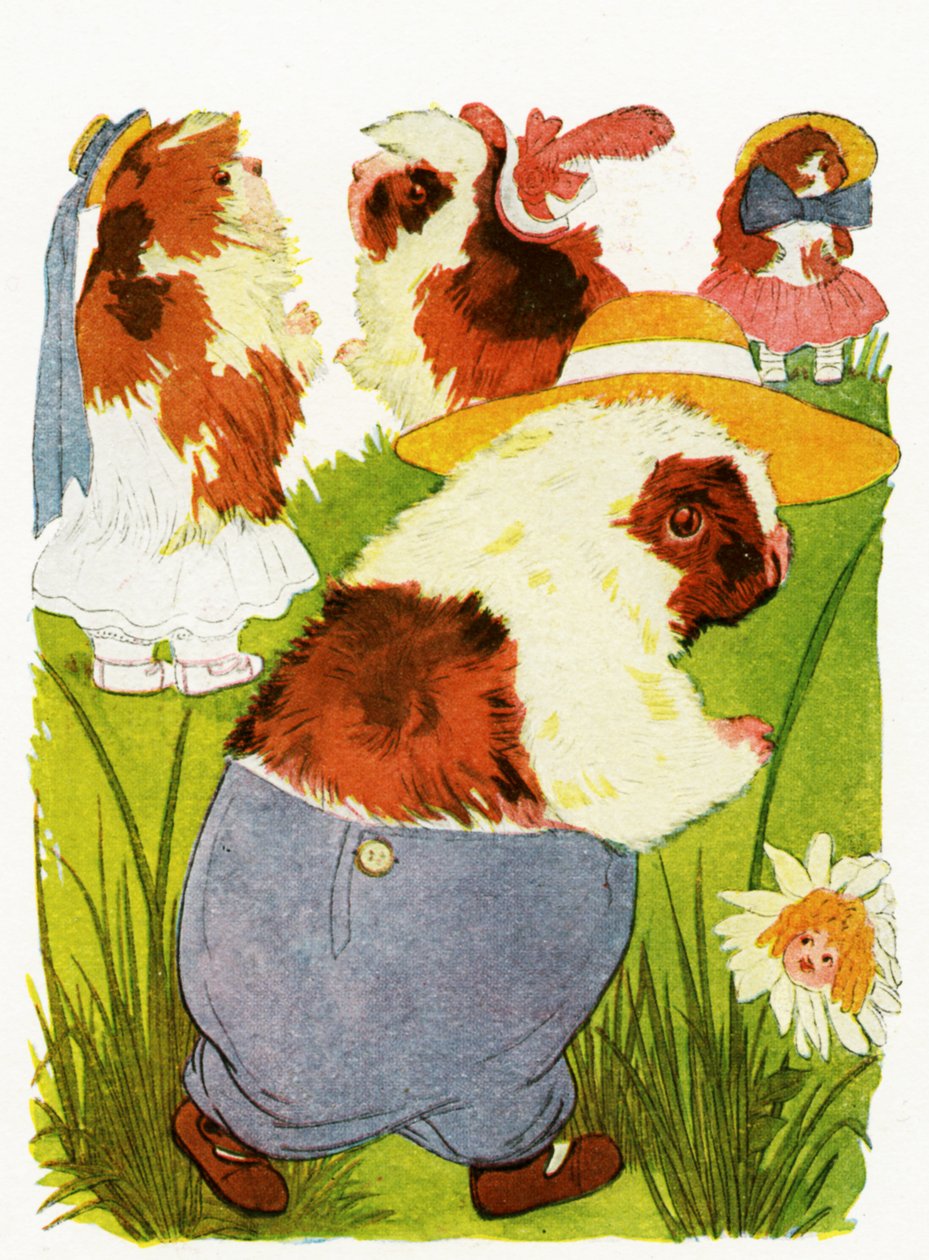Wesołe świnki morskie, 1913 autorstwa Martin Ross
