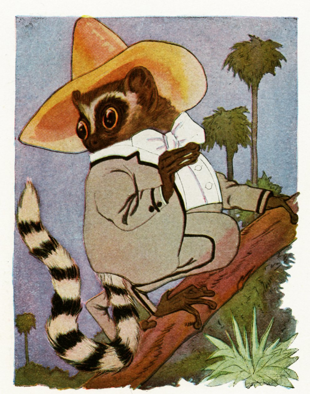 Lemur, 1913 autorstwa Martin Ross